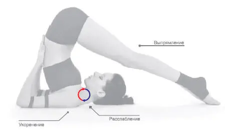 Сенсорный фокус Заземление плеч вытяжение шеи дальше от плеч и вытяжение - фото 153