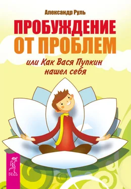 Александр Руль Пробуждение от проблем, или Как Вася Пупкин нашел себя обложка книги