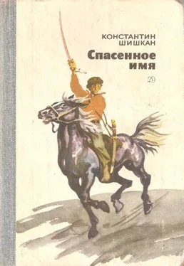 Константин Шишкан Спасенное имя обложка книги