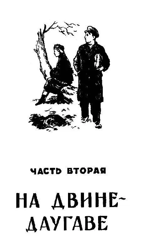 На ДвинеДаугаве 1 Каштаны еще не успели сбросить свою листву желтую как - фото 6