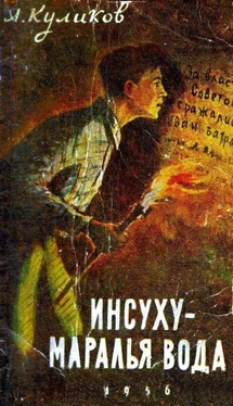 Александр Куликов Инсуху - маралья вода обложка книги