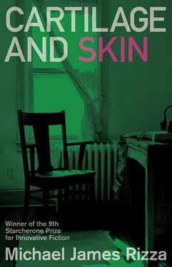 Michael Rizza Cartilage and Skin обложка книги