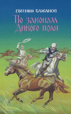 Евгений Бажанов По законам Дикого поля обложка книги