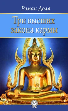 Роман Доля Три высших закона кармы обложка книги