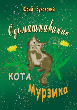 Юрий Буковский Одомашнивание кота Мурзика обложка книги