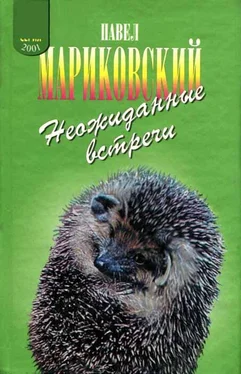 Павел Мариковский Неожиданные встречи обложка книги