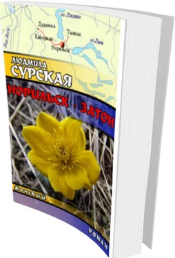 Людмила Сурская Норильск - Затон обложка книги