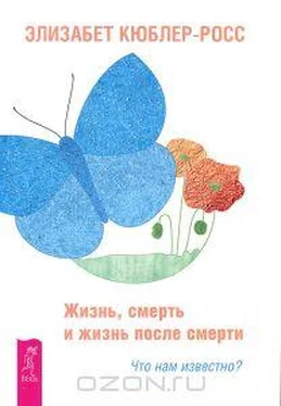 Элизабет Кюблер-Росс Жизнь, смерть и жизнь после смерти. Что нам известно? обложка книги