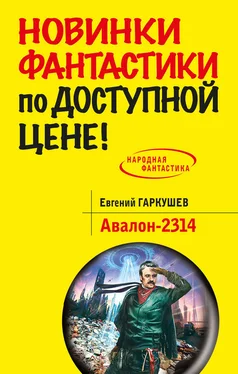 Евгений Гаркушев Авалон-2314 обложка книги