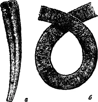 Рис 8 Немакитдалдынские трубчатые ископаемые а Anabarites 25 б - фото 8