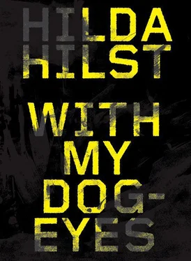 Hilda Hilst With My Dog Eyes обложка книги