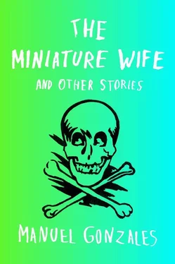 Manuel Gonzales The Miniature Wife: and Other Stories обложка книги