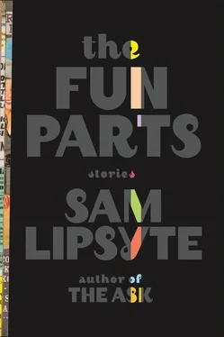 Sam Lipsyte The Fun Parts обложка книги