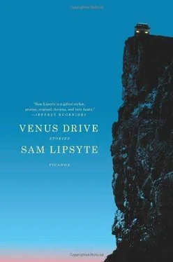 Sam Lipsyte Venus Drive обложка книги