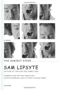 Sam Lipsyte The Subject Steve обложка книги