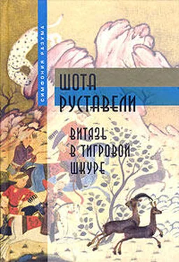 Шота Руставели Витязь в тигровой шкуре обложка книги