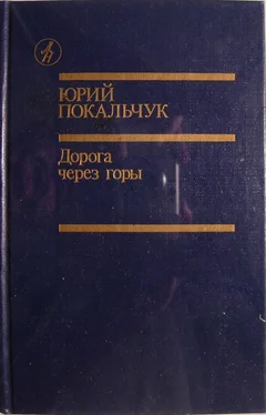 Юрий Покальчук Дорога через горы обложка книги