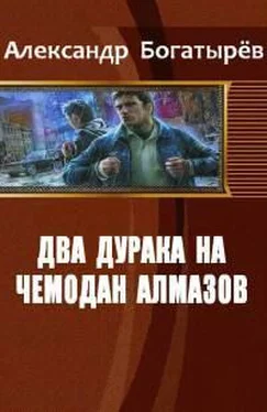 Александр Богатырёв Два дурака на чемодан алмазов обложка книги