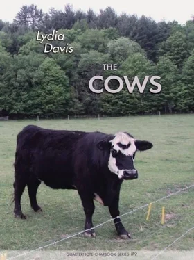 Lydia Davis The Cows обложка книги