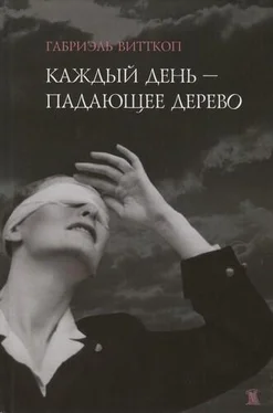 Габриэль Витткоп Каждый день - падающее дерево обложка книги