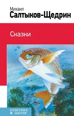 Михаил Салтыков-Щедрин Сказки. История одного города (сборник) обложка книги