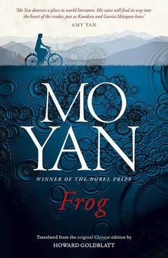 Mo Yan Frog обложка книги