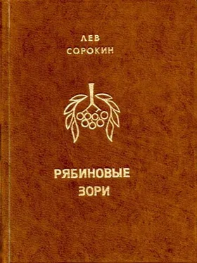 Лев Сорокин Рябиновые зори обложка книги