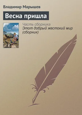Владимир Марышев Весна пришла обложка книги