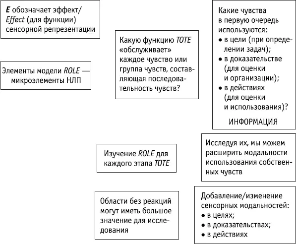 Ключевые положения Е в модели ROLE связано с эффектом или функцией которую - фото 49
