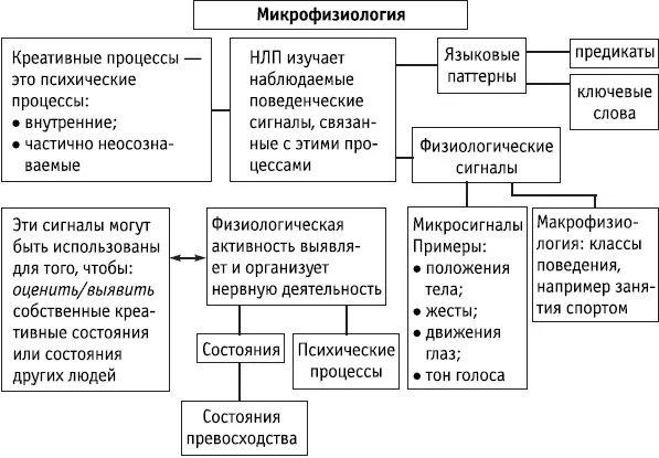 Ключевые положения Физическая деятельность влияет на нервную деятельность и - фото 60