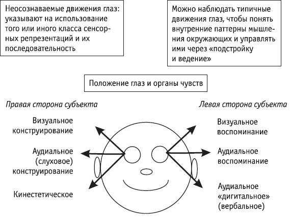 Ключевые положения Е в аббревиатуре BAGEL обозначает движения глаз Eye - фото 63
