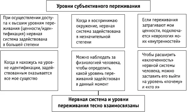 Ключевые положения Различные типы и интенсивность поведенческих сигналов - фото 113