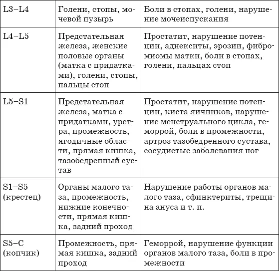 Рис 14Схема контроля головного мозга органов и систем через сегменты спинного - фото 17