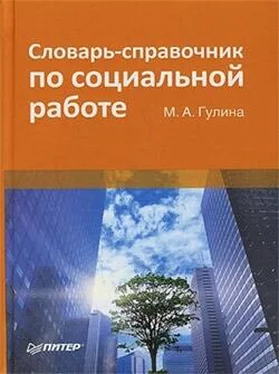 М. Гулина Словарь-справочник по социальной работе обложка книги