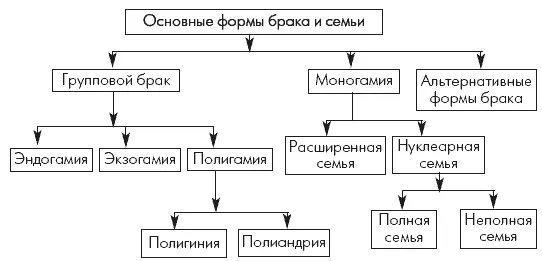11 Как вы считаете семья развивается эволюционно или революционно Докажите - фото 1