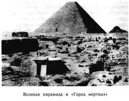 Вечные боги сотворили твое удивительное тело примерно так звучит грубый - фото 6