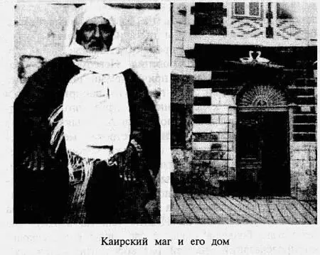 Называть имя мага продемонстрировавшего тот странный трюк с курицей я - фото 9