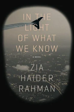 Zia Rahman In the Light of What We Know обложка книги