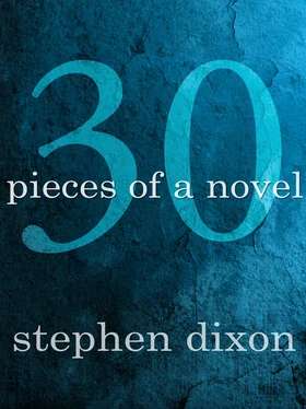 Stephen Dixon 30 Pieces of a Novel обложка книги