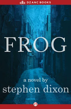 Stephen Dixon Frog обложка книги