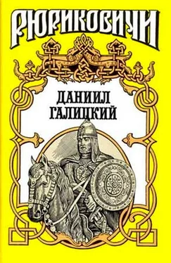 Антон Хижняк Даниил Галицкий обложка книги