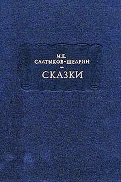 Михаил Салтыков-Щедрин Добродетели и пороки обложка книги