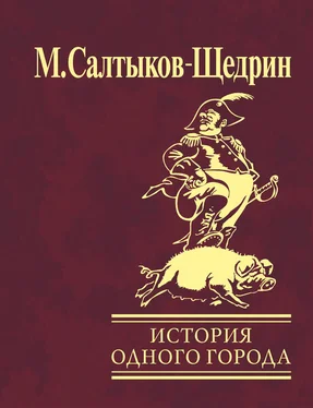 Михаил Салтыков-Щедрин История одного города обложка книги