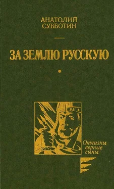 Анатолий Субботин За землю Русскую обложка книги