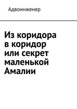 Адвоинженер Из коридора в коридор или секрет маленькой Амалии обложка книги