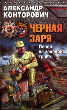 Александр Конторович Черная заря. Пепел на зеленой траве обложка книги