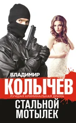 Владимир Колычев - Стальной мотылек