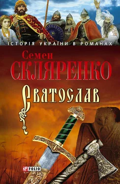 Семен Скляренко Святослав (укр.) обложка книги