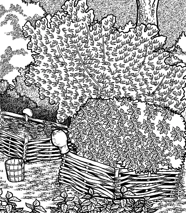 Грядки в деревенском стиле Традиционным элементом оформления деревенских садов - фото 11