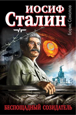 Борис Соколов Иосиф Сталин – беспощадный созидатель